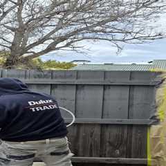 Interior Painting Belmont: Experienced Residential Painting