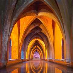 Top Rated Interior Painters in Belmont