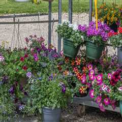 Landscape Builders in Portland Who Understand Tree Pruning and Complete Outdoor Design