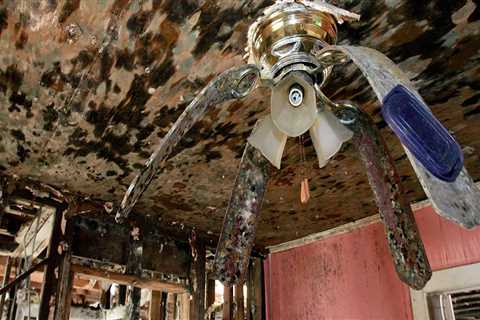 Why Disaster Cleanup Can Spread Mold Spores If Done Too Fast