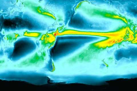 The Seasonal Timing That Determines Landscape Longevity