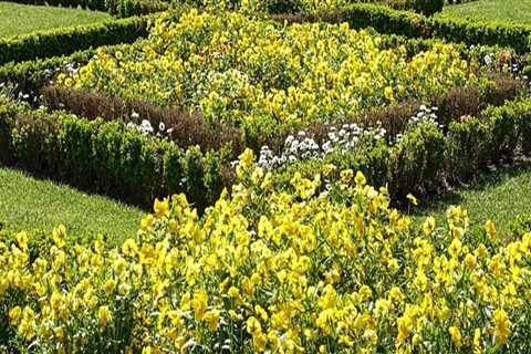 Elevate Your Home's Value with Expert Landscaping & Staging