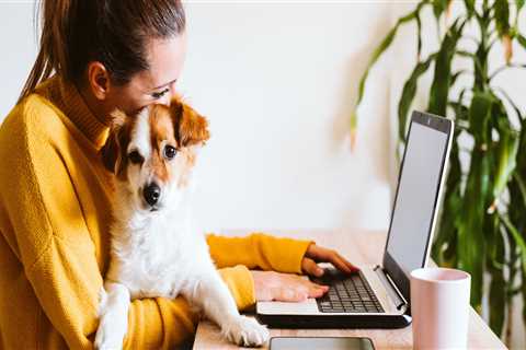 Paver Sealing Jacksonville FL: Reliable Paver Sealing Services