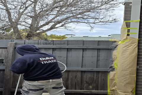 Interior Painting Belmont: Experienced Residential Painting