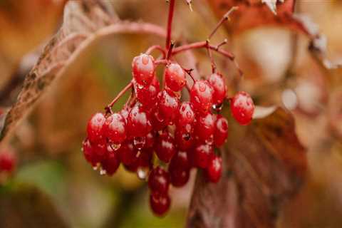 Working With Most Trusted Interior Painters in Belmont