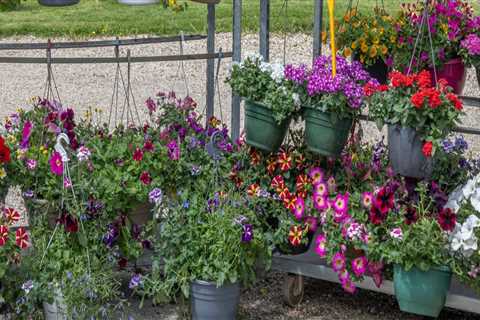 Landscape Builders in Portland Who Understand Tree Pruning and Complete Outdoor Design