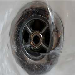 Enhance Your Home with Landscaping and Clear Drains