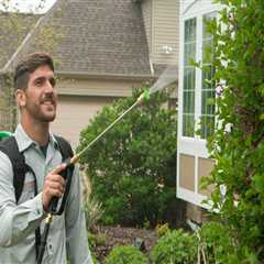 Essential Tree Maintenance Tips for Real Estate Assets: Avoiding Common Pitfalls