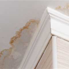 Understanding Severe Leaks: Causes, Solutions, and Prevention