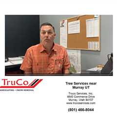 Backyard Landscaping Truco Services Inc.