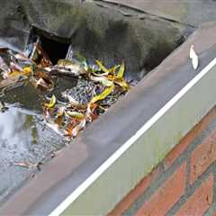 Why Proper Water Flow Should Be Considered During Roof Installation