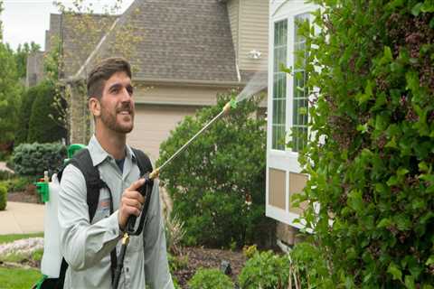 Essential Tree Maintenance Tips for Real Estate Assets: Avoiding Common Pitfalls