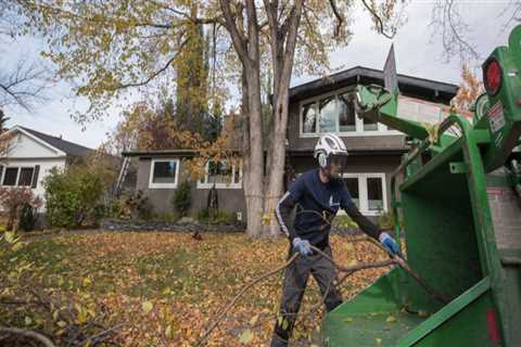Essential Resources for Effective Tree Maintenance in Real Estate Management