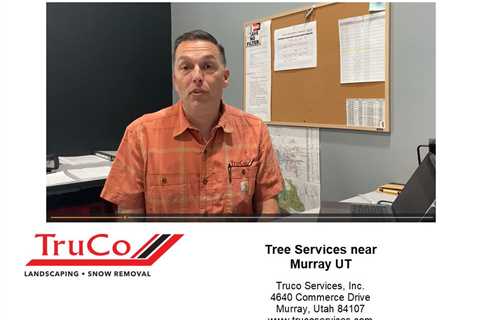 Backyard Landscaping Truco Services Inc.