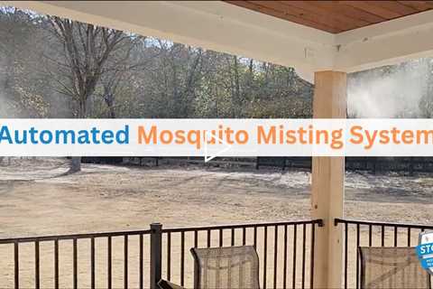 The Best Form of Mosquito Control In Aiken, South Carolina!