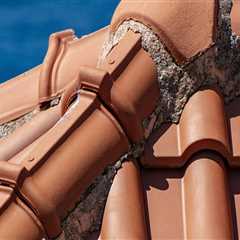 Protect Your Home with Vinyl Siding and Rodent Control