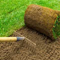 Year-Round Lawn Care Services Planning Guide