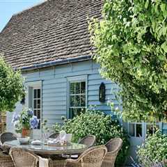 Essential Considerations for Choosing Plants in Patio Landscaping