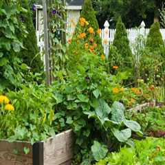 Creative Ways to Incorporate Edible Plants into Your Patio Landscape