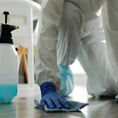 Secure Your Ahwatukee Home with Rodent Control & Remodeling