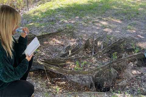 Essential Elements of a Tree Risk Assessment Report