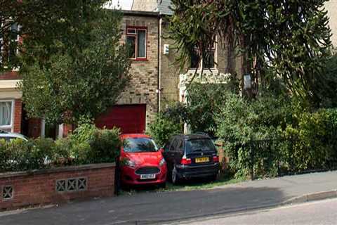 Ensuring Tree Safety: What to Do When Trees Grow Too Close to Your Home