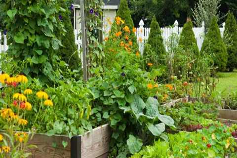 Creative Ways to Incorporate Edible Plants into Your Patio Landscape