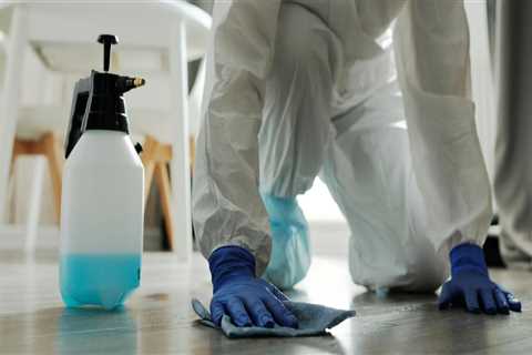 Secure Your Ahwatukee Home with Rodent Control & Remodeling