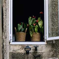 Enhance Your Kitchen with Milgard Windows in Vancouver