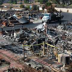 Tree Inspection & Fire Cleanup Costs in Beaverton