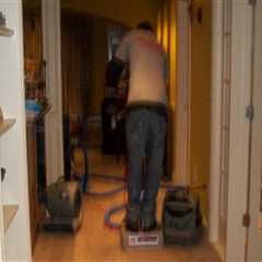 Protecting Properties in Tri-Cities, WA: From Tree Maintenance for Real Estate Assets to Reliable..