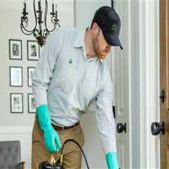 Enhancing Home Protection with Indoor Pest Control Strategies