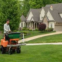 Lawn Care Considerations When Scheduling Movers for a New Home