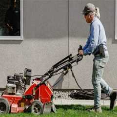 Lawn Care Services and the Value of Regular Equipment Maintenance
