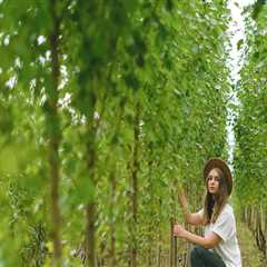 Transform Your Lawn with Tree Planting in Maysville, WV