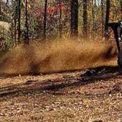 How Professional Forestry Mulching Helps Safeguard Plumbing Systems