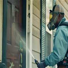 Outdoor Pest Control Approaches That Complement Electrical Safety