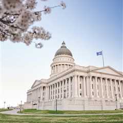 The Ultimate Guide to Salt Lake City Utah Tree Removal: Top 10 Essential Tips for 2026