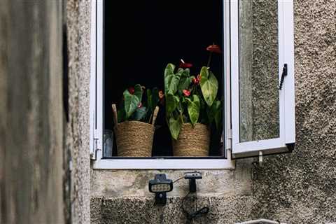 Enhance Your Kitchen with Milgard Windows in Vancouver