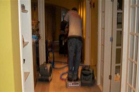 Protecting Properties in Tri-Cities, WA: From Tree Maintenance for Real Estate Assets to Reliable..