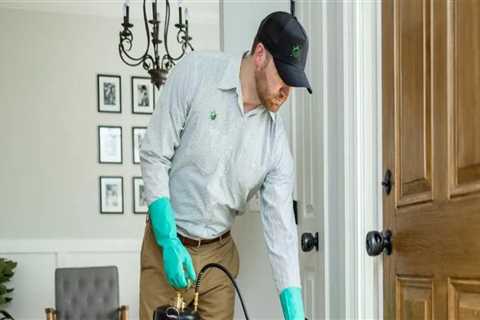 Enhancing Home Protection with Indoor Pest Control Strategies