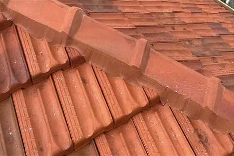 Roof Restoration Services to Schedule Before or After Movers