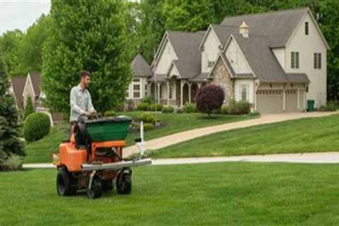 Lawn Care Considerations When Scheduling Movers for a New Home