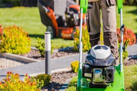 Coordinating Landscaping Tree Tasks with Equipment from a Lawn Equipment Dealer