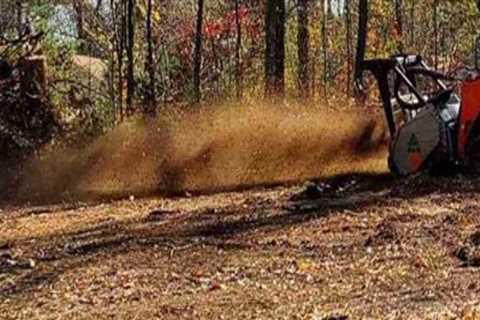 How Professional Forestry Mulching Helps Safeguard Plumbing Systems