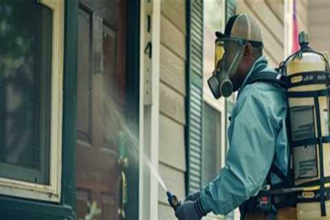 Outdoor Pest Control Approaches That Complement Electrical Safety