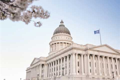 The Ultimate Guide to Salt Lake City Utah Tree Removal: Top 10 Essential Tips for 2026