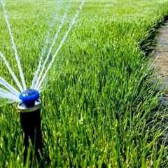 Incorporating Sustainable Irrigation Systems in Your Landscape Renovation