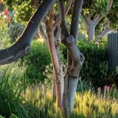 Creative Ways to Integrate Seating Areas into Your Landscape Renovation