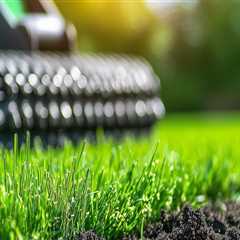 Understanding Overseeding: A Key Component of Effective Turf Management